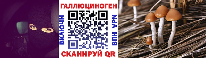 Галлюциногенные грибы мицелий  кракен сайт  Верхняя Тура 