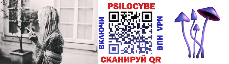 Псилоцибиновые грибы Cubensis Верхняя Тура